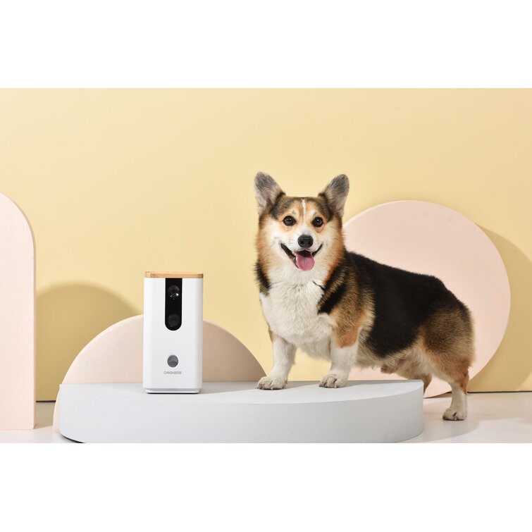 Automatic pet 2024 treat dispenser